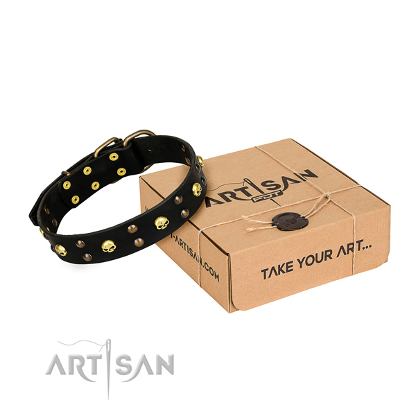 Everyday walking dog collar of best quality full grain natural leather with decorations