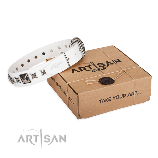 Walking natural leather dog collar with embellishments
