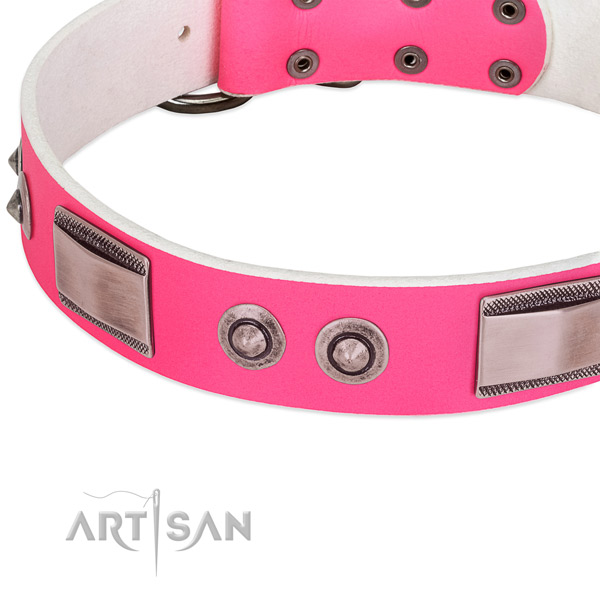 Best quality leather collar with adornments for your pet