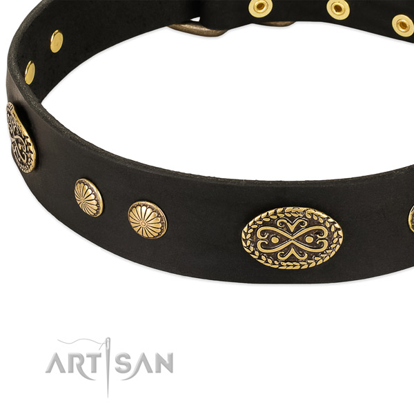 Corrosion proof studs on full grain genuine leather dog collar for your doggie