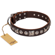 "Pierian spring" FDT Artisan Brown Leather Mastiff Collar with Silvery Decorations