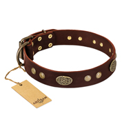 "Old-fashioned Glamor" FDT Artisan Brown Leather Mastiff Collar with Old Bronze Look Plates and Circles