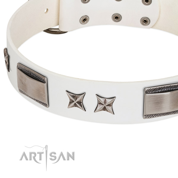 Top rate natural leather dog collar with corrosion resistant D-ring