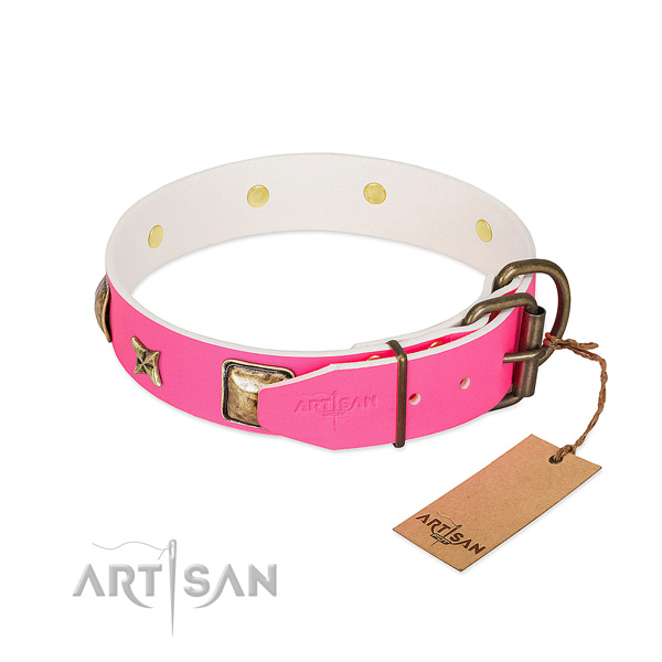 Rust resistant buckle on full grain leather collar for fancy walking your dog