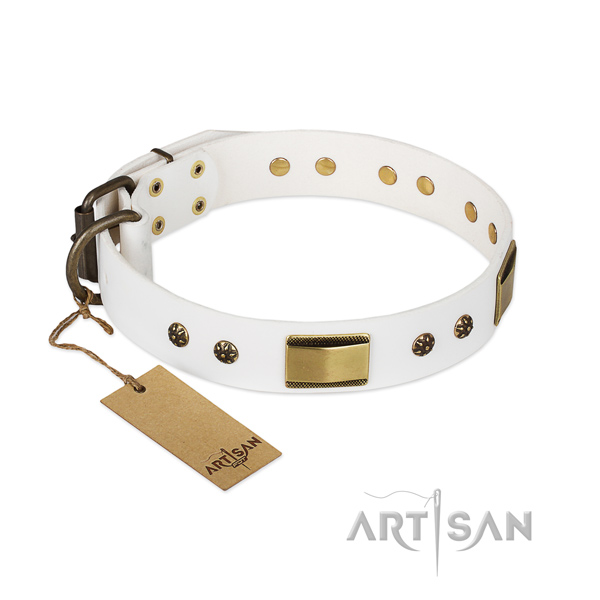 Unique full grain leather collar for your pet
