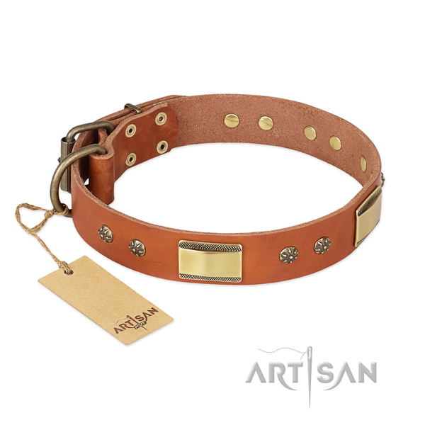 Inimitable full grain genuine leather collar for your dog