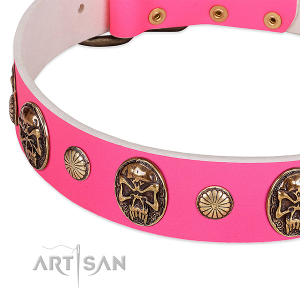 Reliable adornments on natural genuine leather dog collar for your doggie