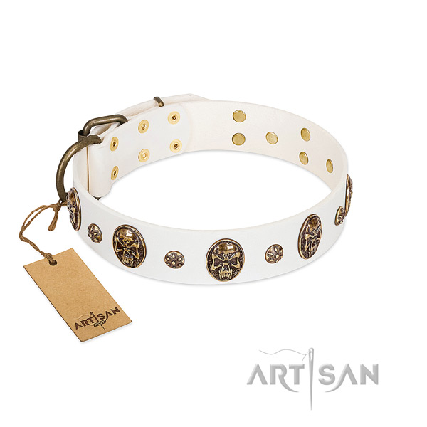 Best quality leather collar for your four-legged friend