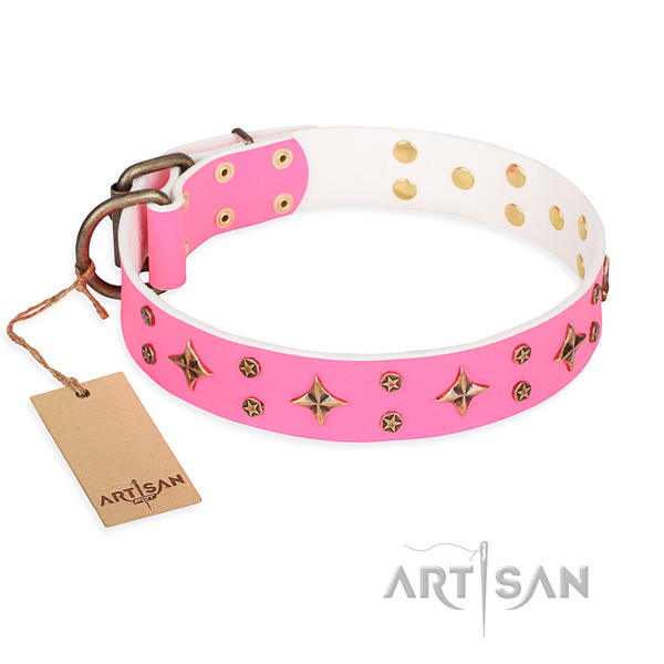 Walking dog collar of fine quality natural leather with adornments