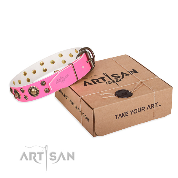Comfortable wearing dog collar of strong genuine leather with studs