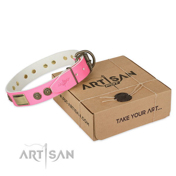 Rust-proof buckle on dog collar for daily use