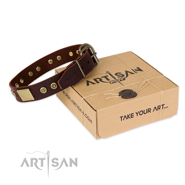 Rust-proof buckle on dog collar for daily use