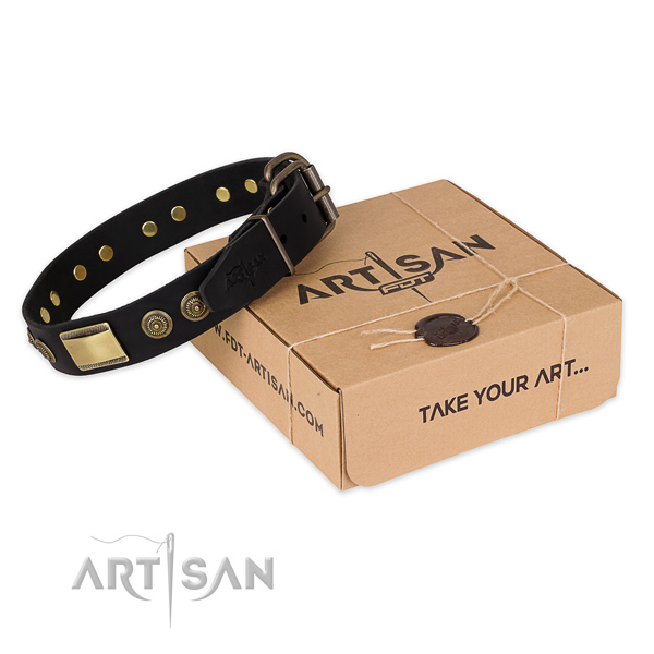 Corrosion resistant fittings on leather dog collar for basic training