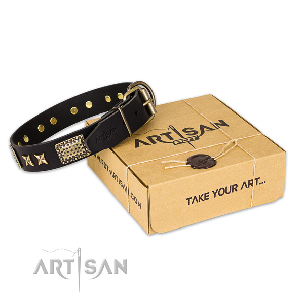 Corrosion resistant traditional buckle on genuine leather collar for your lovely four-legged friend