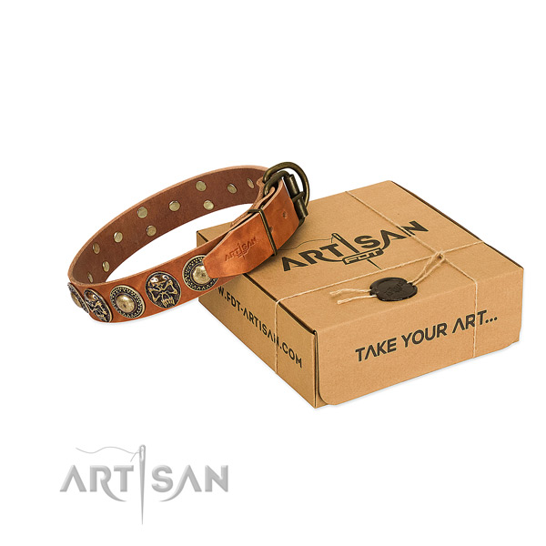 Corrosion proof embellishments on dog collar for comfortable wearing