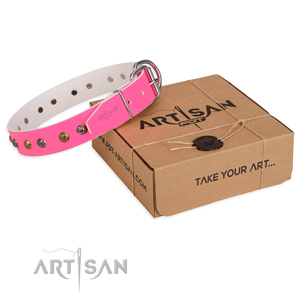 Fancy walking dog collar with Inimitable corrosion resistant embellishments