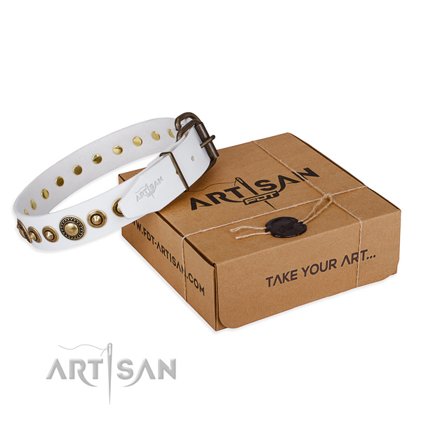 Top rate natural genuine leather dog collar crafted for daily walking