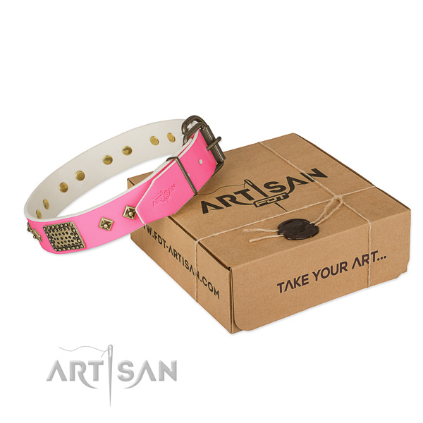 Rust resistant decorations on dog collar for daily walking