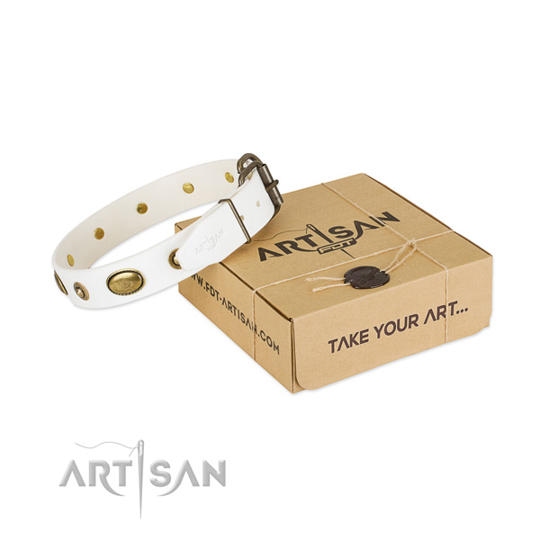 Handcrafted genuine leather collar for your lovely dog