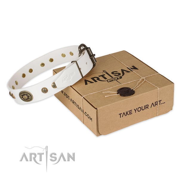 Rust-proof traditional buckle on natural genuine leather dog collar for daily use
