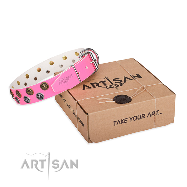 Stylish walking dog collar of top notch leather with adornments