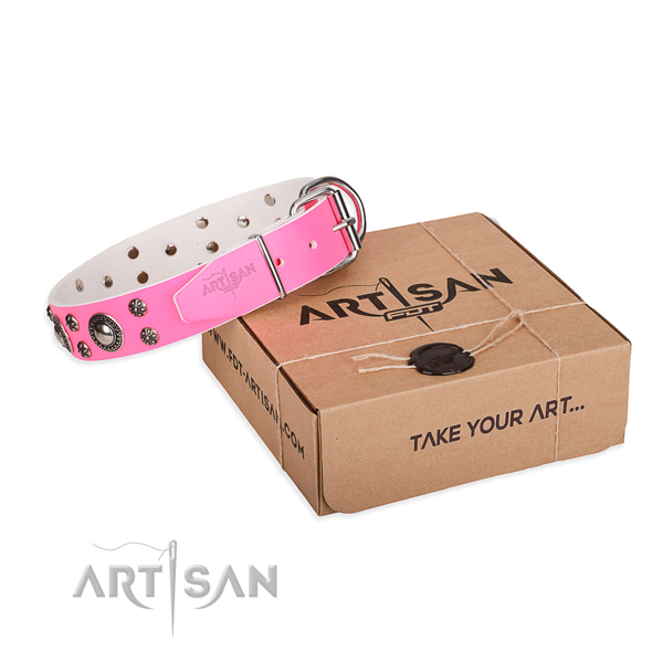 Comfortable wearing dog collar of quality leather with decorations
