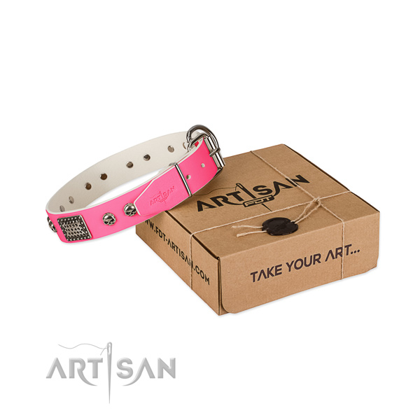 Reliable decorations on dog collar for daily use