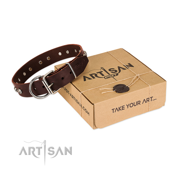 Reliable hardware on dog collar for stylish walking