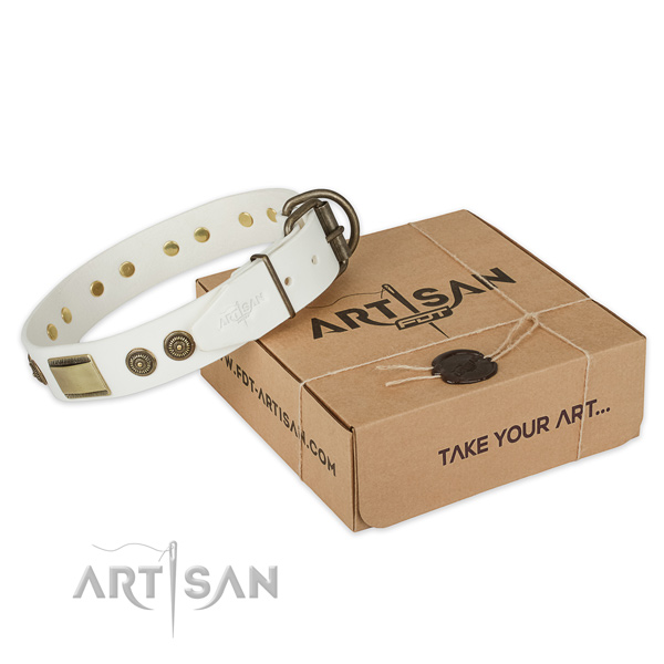 Durable traditional buckle on leather dog collar for daily walking