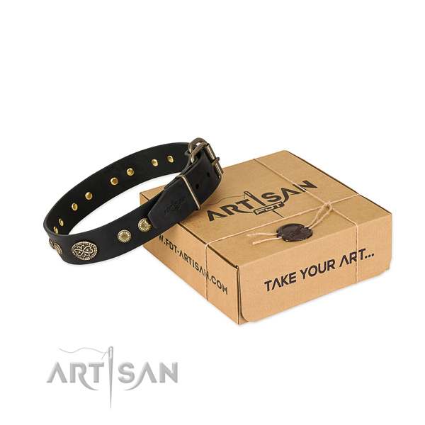 Rust resistant studs on leather dog collar for your dog