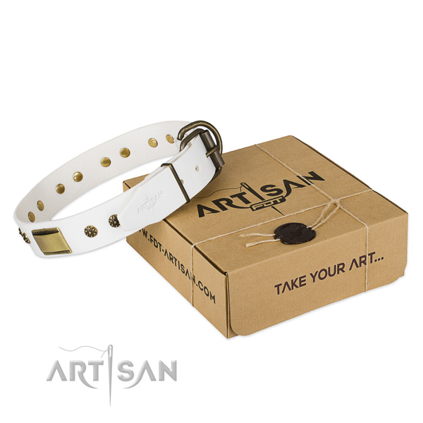 Fine quality full grain natural leather collar for your lovely doggie