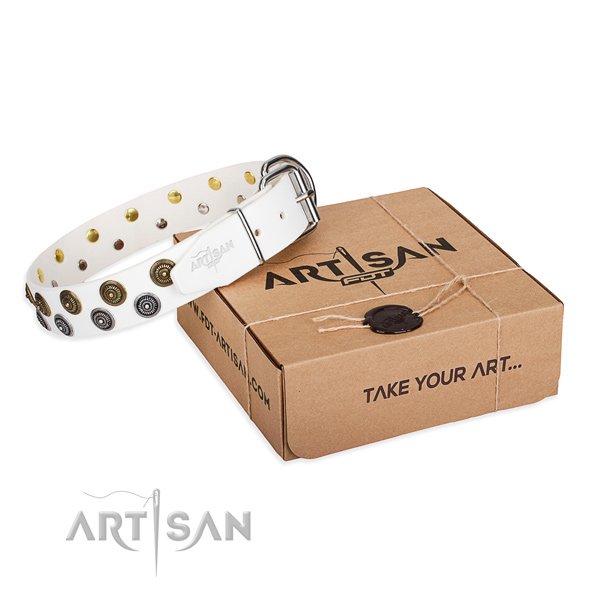 Stylish walking dog collar of best quality leather with adornments