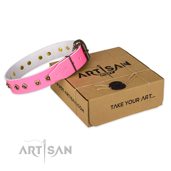 Corrosion resistant fittings on full grain natural leather dog collar for comfortable wearing