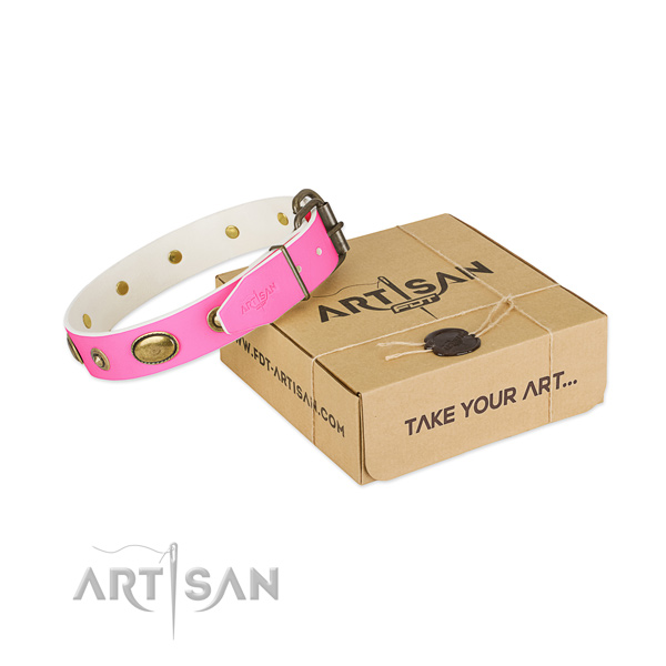 Stylish design natural leather collar for your attractive dog