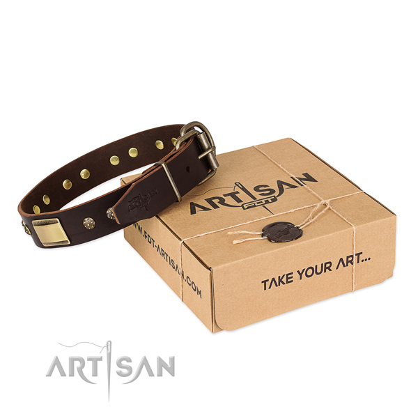 Perfect fit full grain genuine leather collar for your stylish canine