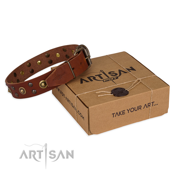 Durable buckle on full grain genuine leather collar for your stylish dog