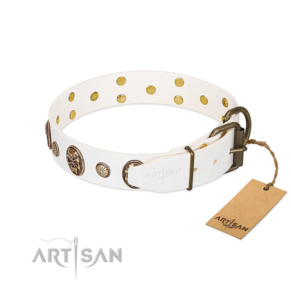 Corrosion resistant hardware on full grain natural leather collar for walking your four-legged friend