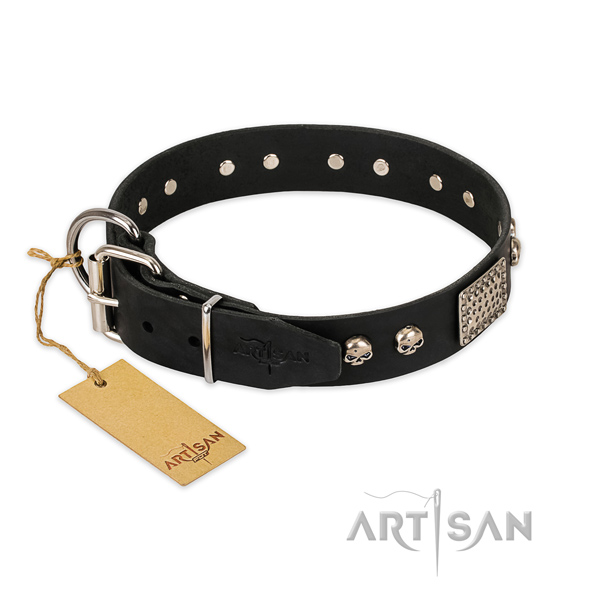 Durable decorations on stylish walking dog collar