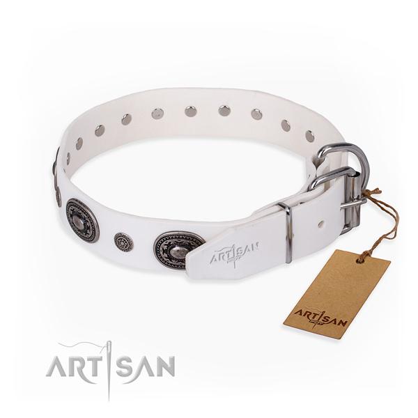 Reliable genuine leather dog collar handmade for walking