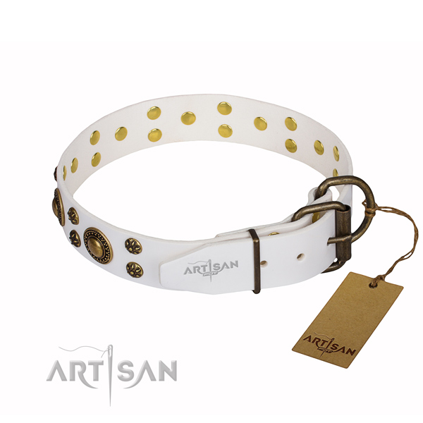 Comfy wearing decorated dog collar of durable full grain genuine leather