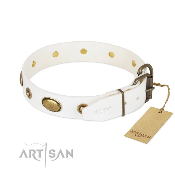 Reliable traditional buckle on genuine leather dog collar for your doggie