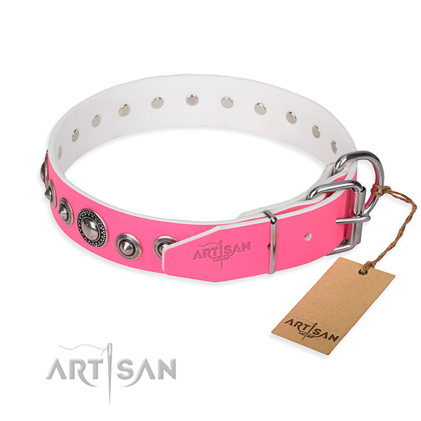 Full grain natural leather dog collar made of top notch material with rust resistant adornments