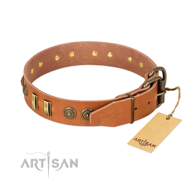 Corrosion resistant buckle on full grain leather dog collar for your dog