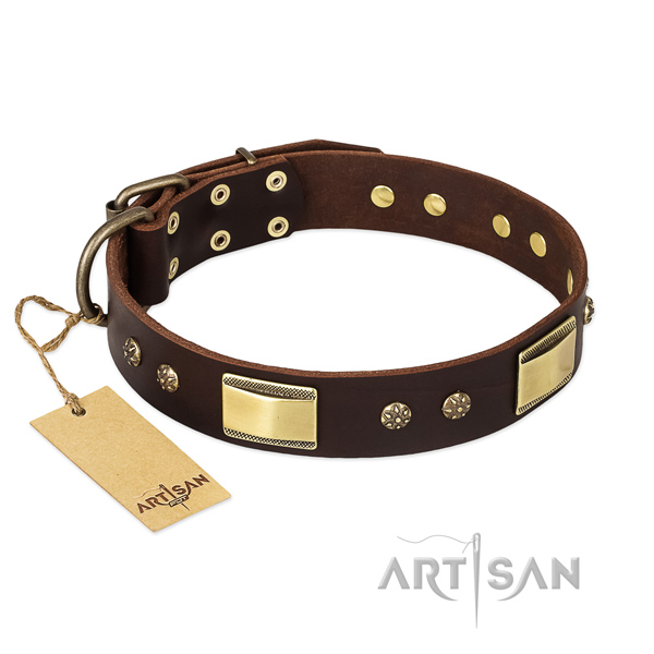 Full grain leather dog collar with corrosion resistant buckle and studs