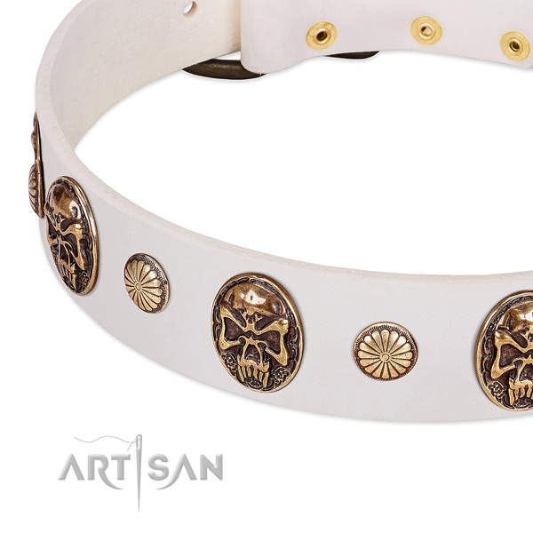 Rust resistant fittings on leather dog collar for your canine