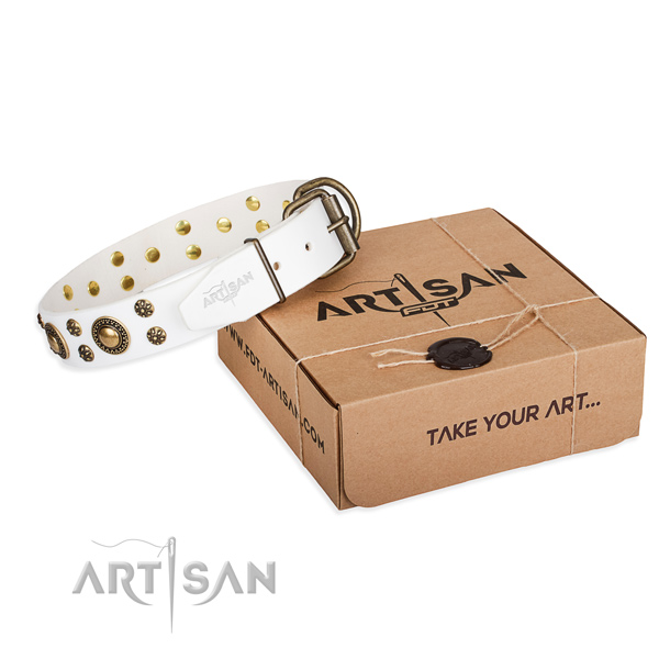 Comfy wearing dog collar of best quality full grain leather with studs