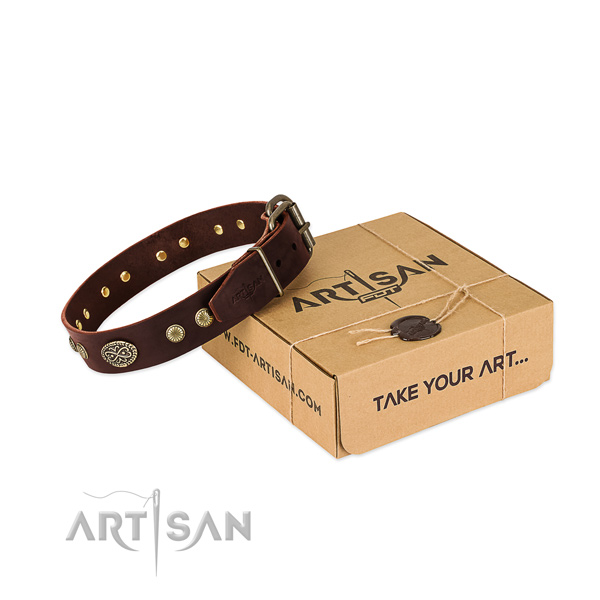 Corrosion proof traditional buckle on full grain natural leather dog collar for your pet