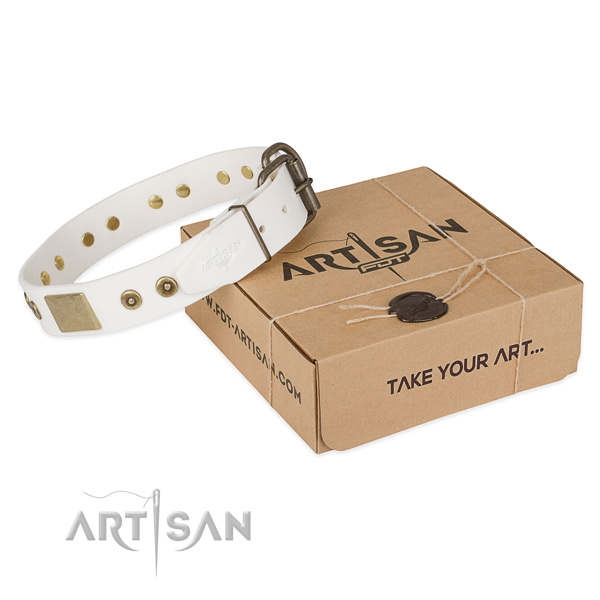 Corrosion resistant fittings on leather dog collar for daily use