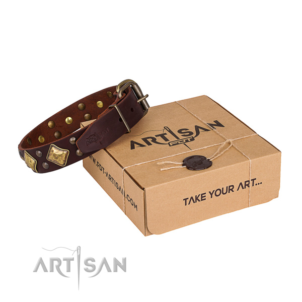 Walking dog collar with Designer durable decorations