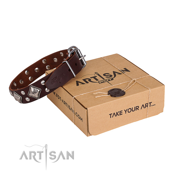 Daily walking dog collar with Exceptional reliable embellishments